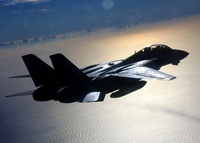 Grumman F-14 Tomcat flying over water